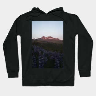 Magical Sunset in the Icelandic Mountains with lupin flowers Hoodie